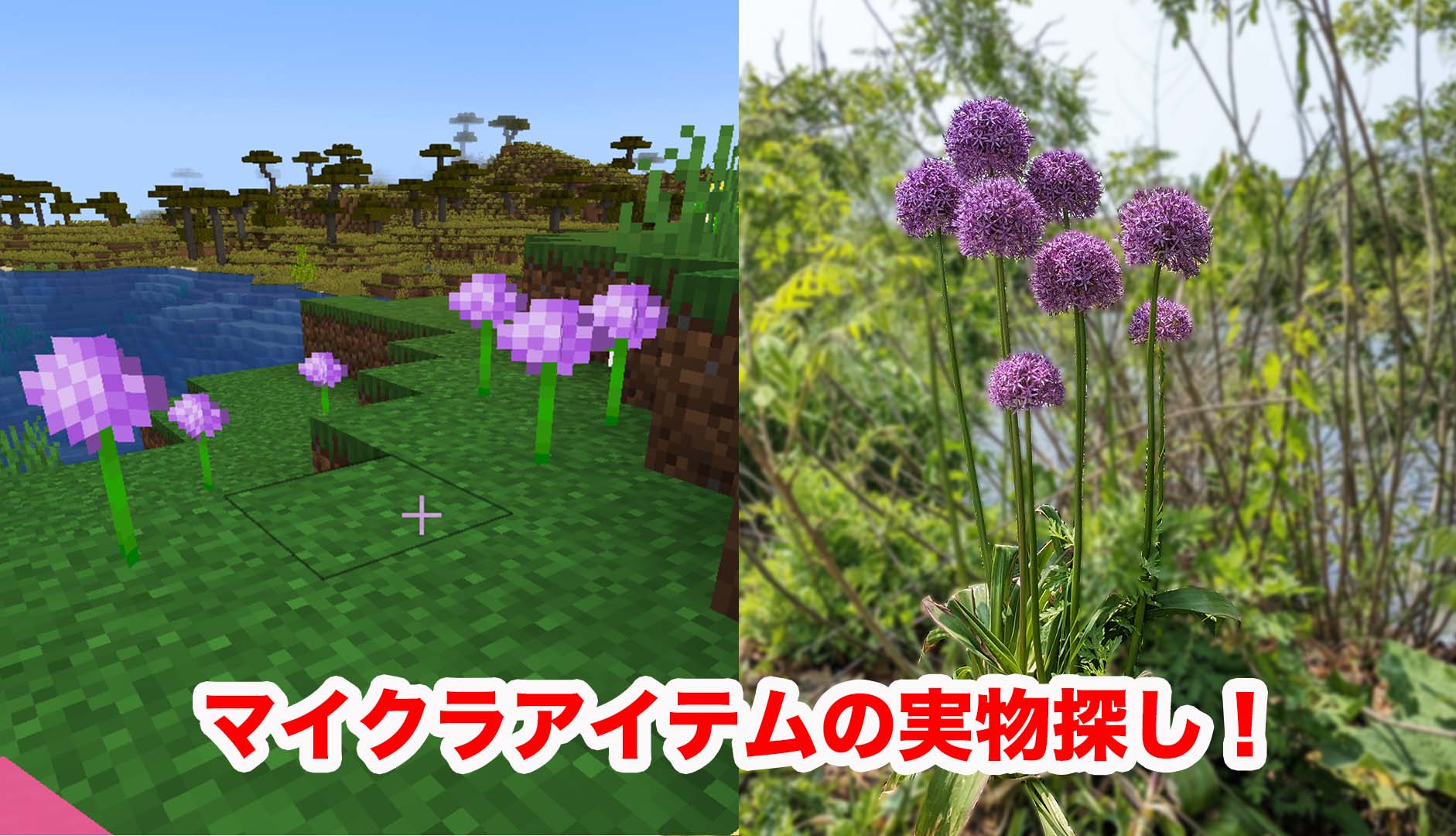 マインクラフトの生物や鉱物を実世界で探しに行きました！